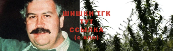 стаф Пестово
