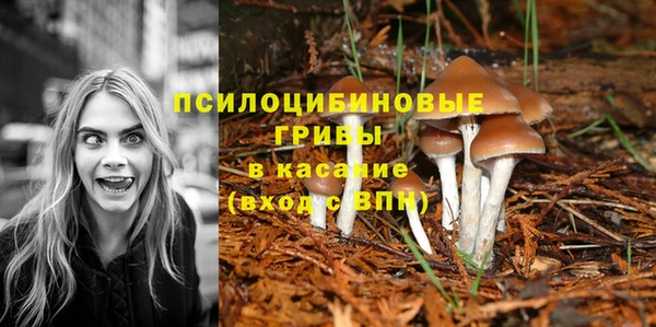 марки lsd Алзамай